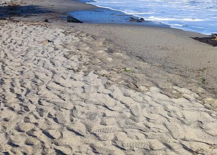 Appartement Marina Aheloy